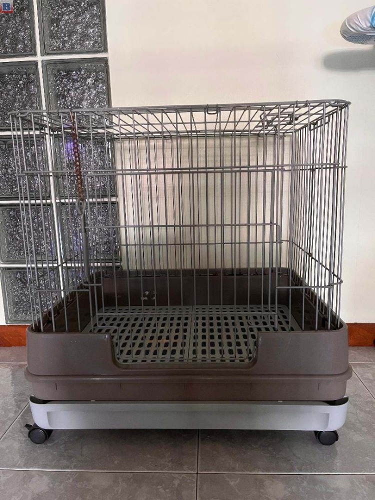 Small Animal Cage (used) for Sale - S$50